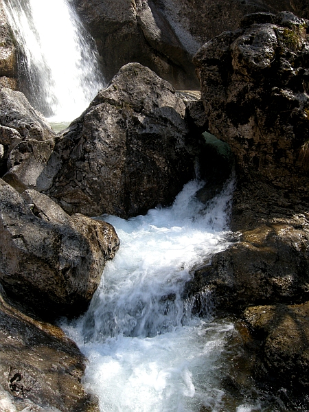 Escursione Parco Nazionale d''Abruzzo